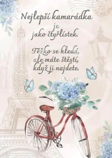 Dárek pro kamarádku 