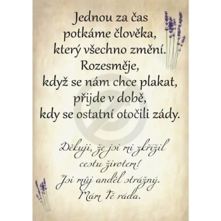 Poděkování za přátelství - pro přítele