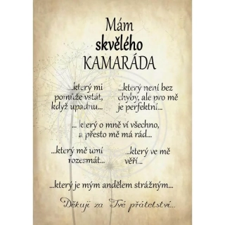 Dárek pro kamaráda