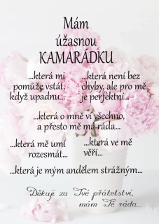 Dárek pro úžasnou kamarádku