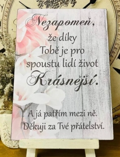 Poděkování za přátelství