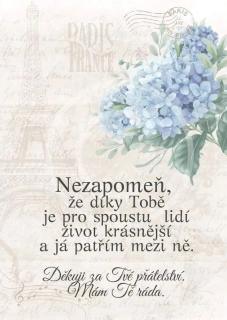 Poděkování za přátelství - hortenzie