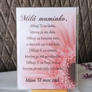 Dárek pro maminku od syna-růžová květina