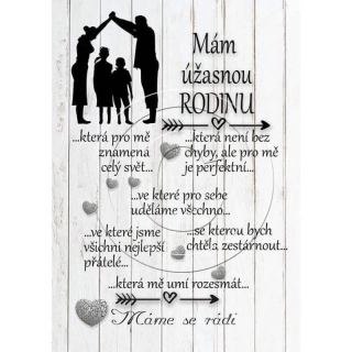 Dřevěný obrázek - mám úžasnou rodinu